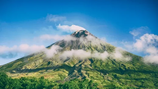 Pohon di Area Gunung. (Foto: Istimewa)