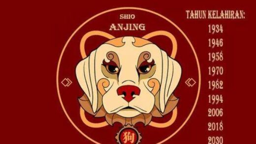 Shio Anjing. (Foto: Istimewa)