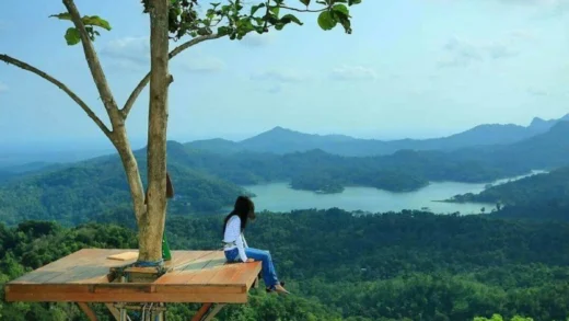 Staycation Alam: Pilihan Liburan Nyaman di Tengah Kesibukan Perkotaan