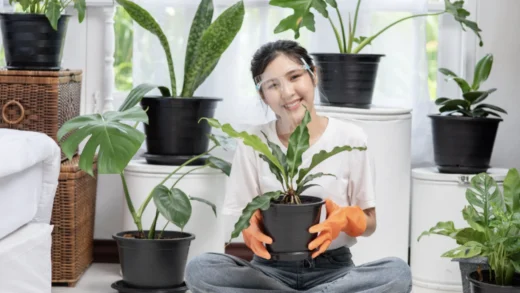 Keuntungan Berkebun Bumbu dan Herbal di Rumah