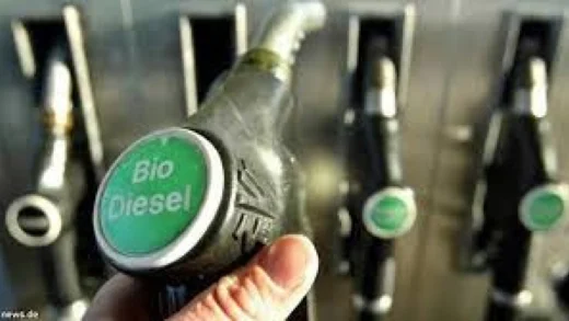 Pemerintah Siap Implementasikan B50 dan Bangun Pabrik Biodiesel di Merauke