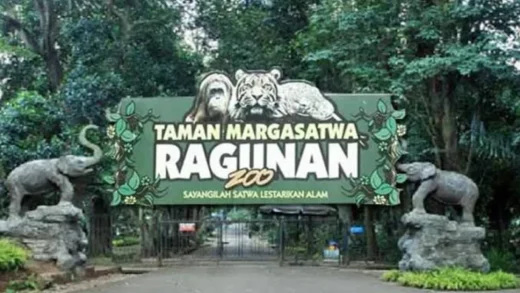 Gubernur Pramono Mengusulkan Wisata Malam di Taman Margasatwa Ragunan
